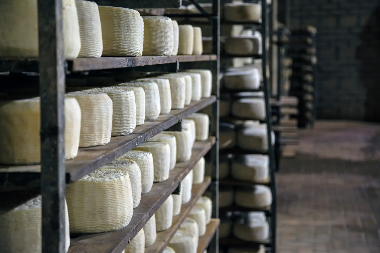 i-buonatavola-04 The aging of cheeses produced by I Buonatavola