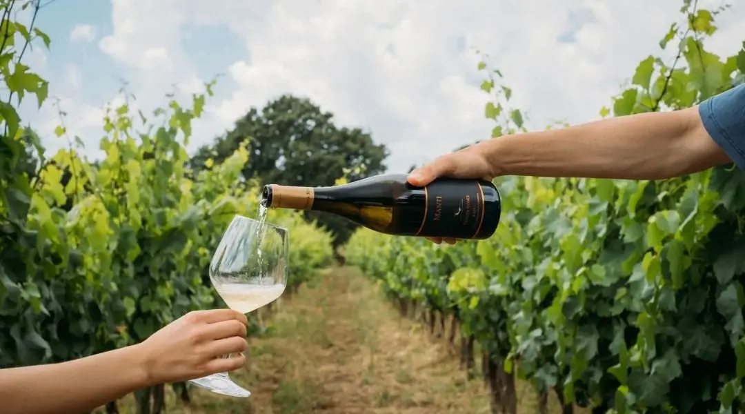 Il vigneto della Tenuta Ronci di Nepi