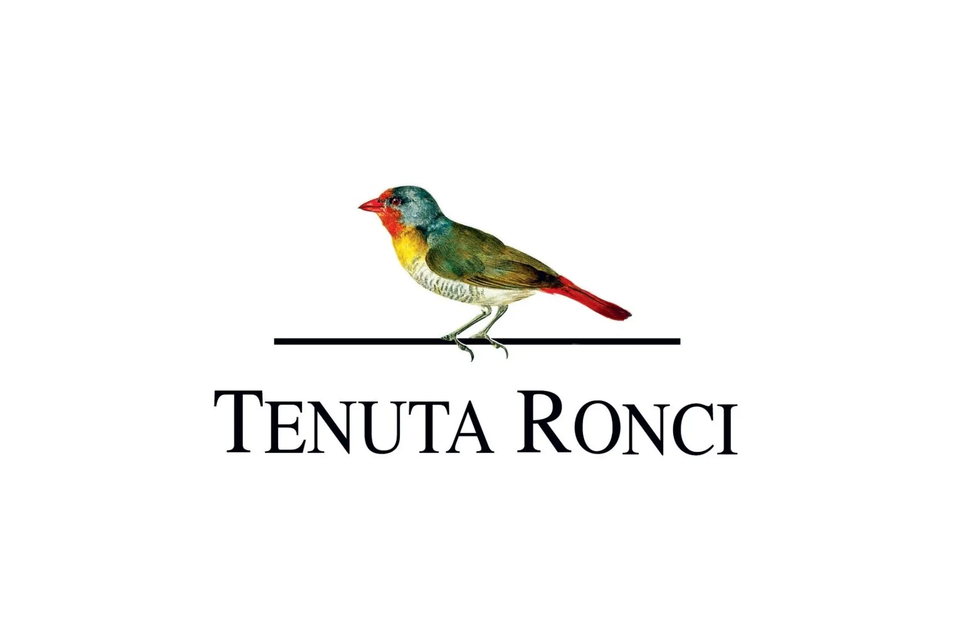 Logo della Tenuta Ronci
